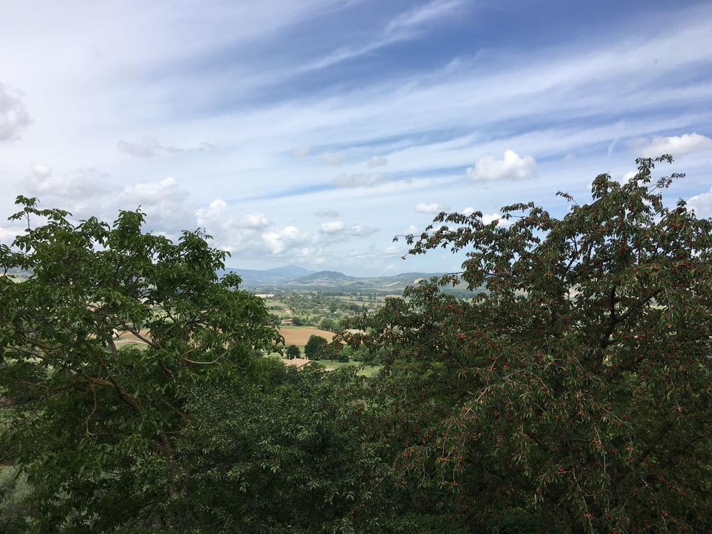 Agriturismo Podere Pescara Orvieto Exteriér fotografie